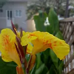 Apartman Moukas Seaside Romantico