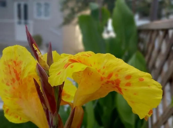 Apartment Moukas Seaside Romantico